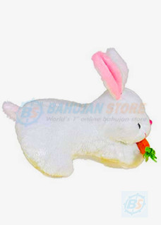 Cute Loveable Rabbit With Carrot Stuffed Soft Toy 2