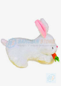 Cute Loveable Rabbit With Carrot Stuffed Soft Toy hover