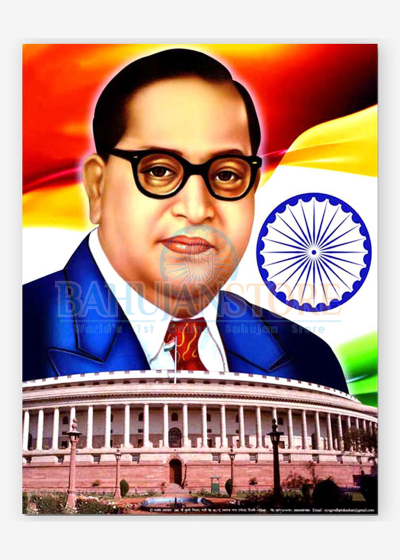Dr. Ambedkar with Parliament Poster Size 18 x 23 inches