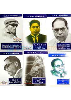 Dr. B. R. Ambedkar 6 Book set in English 2