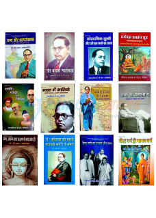 Vangmay Sets of 12 Books in Hindi by Dr. B. R. Ambedkar 2