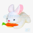 Cute Loveable Rabbit With Carrot Stuffed Soft Toy